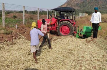 Composting (2)