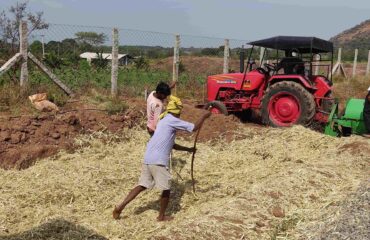 Composting (5)