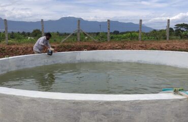 Irrigation-Work (2)