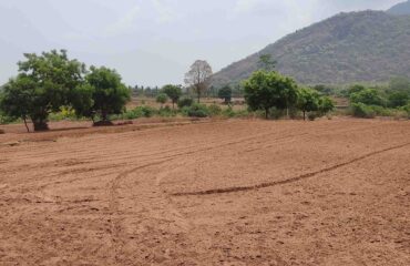 land preparation